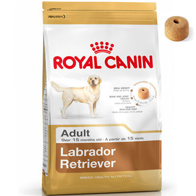 Royal Canin Labrador Retriever 30 Adult 12 Kg Crocchette Per Cani Cane
