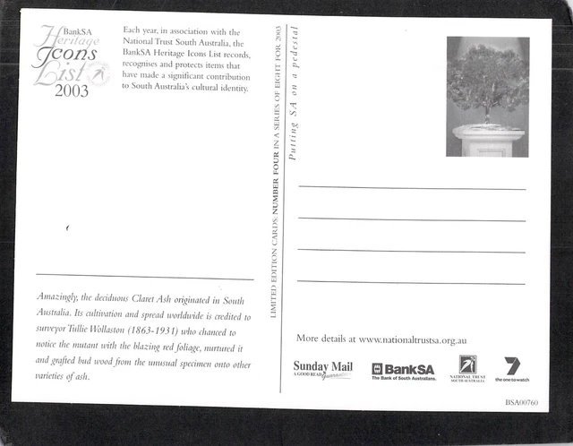 S0419 Australia BankSA 2003 Icon Claret Ash Tree postcard 2