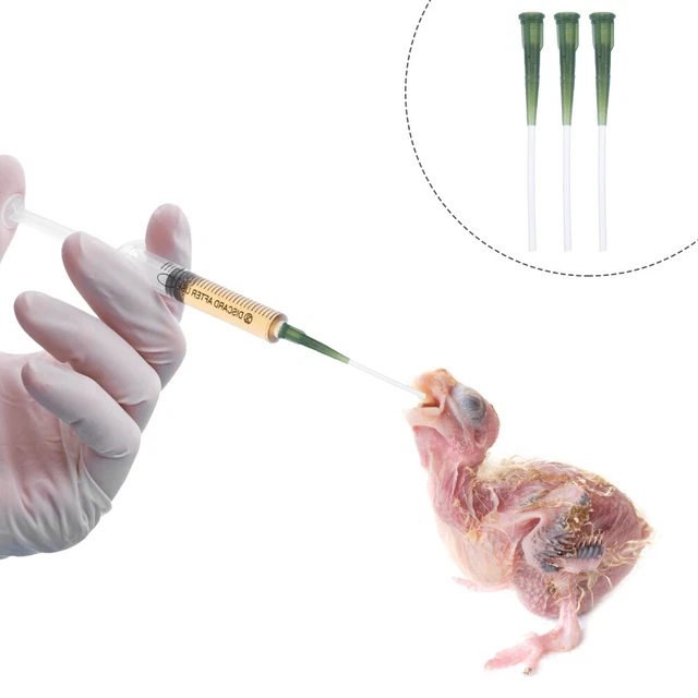 3 pz Alimentatore Tubo Tubo Latte Alimentazione Animali Animali Domestici Irrigazione Pappagallo Bambino