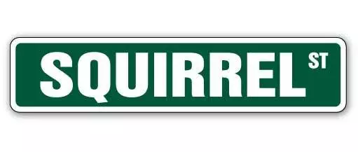 SQUIRREL Street Sign Metal Plastic Decal xing crossing nuts roadkill hunt