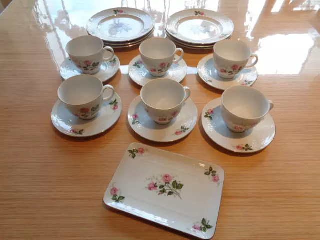 Seltmann Weiden ANNABELL rosa Rosen Goldrand Kaffee Service 19 teilig selten