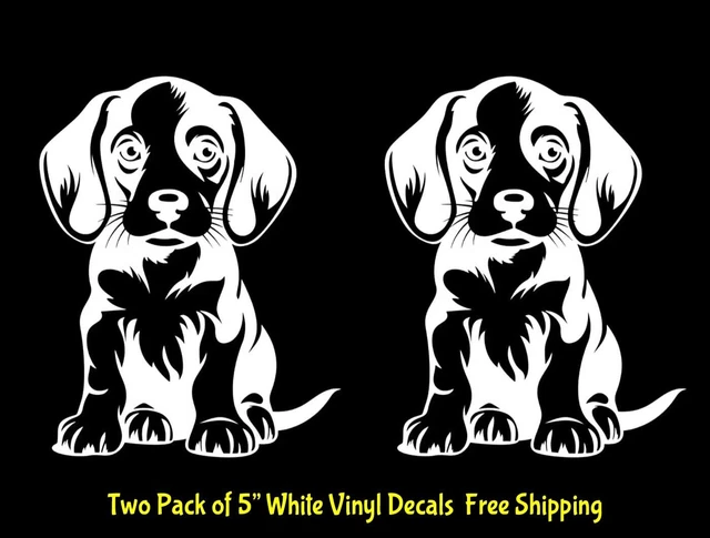 RIVEN- Raven Teen Titans Go! 2 Pk White Vinyl Decals Car Truck Windows Tumblers Laptop