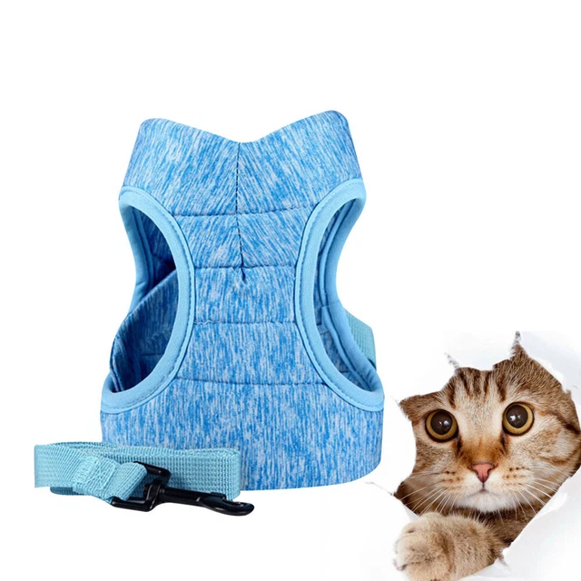 Harnais légers pour animaux de compagnie Sangle de traction pour chat créative