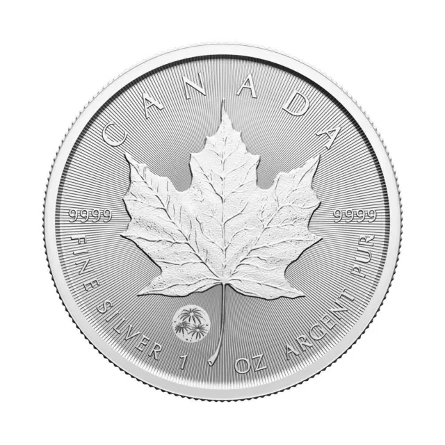 2024 CANADA 5 1oz Silver Treasured Maple Leaf First Strikes w