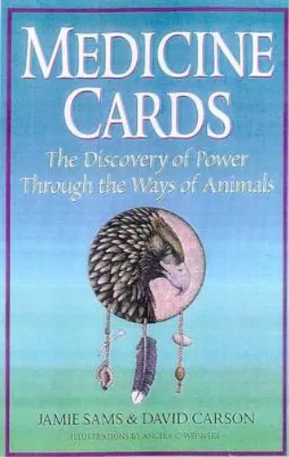 David Carson Jamie Sams Medicine Cards (Cards)
