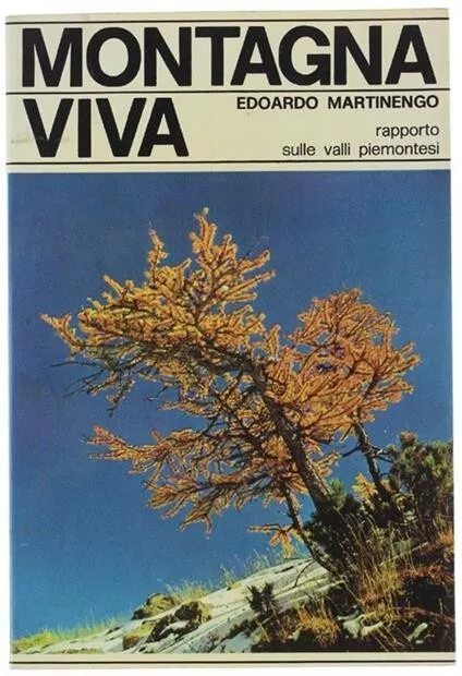 Montagna Viva.Rapporto Sulle Valli Piemontesi, E.Martinengo, Edizioni AEDA, 1970