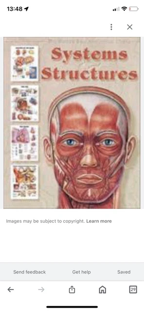 SYSTEMS AND STRUCTURES: The World's Best Anatomical Charts Collection £ ...