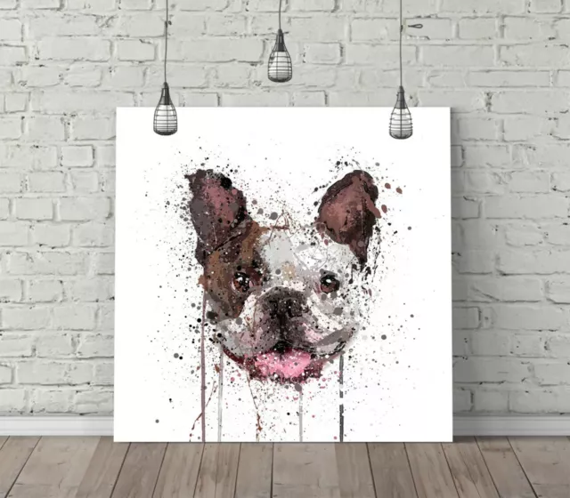 French Bulldog Splash Art Square Canvas Wall Art Float Effect/Frame/Poster Print