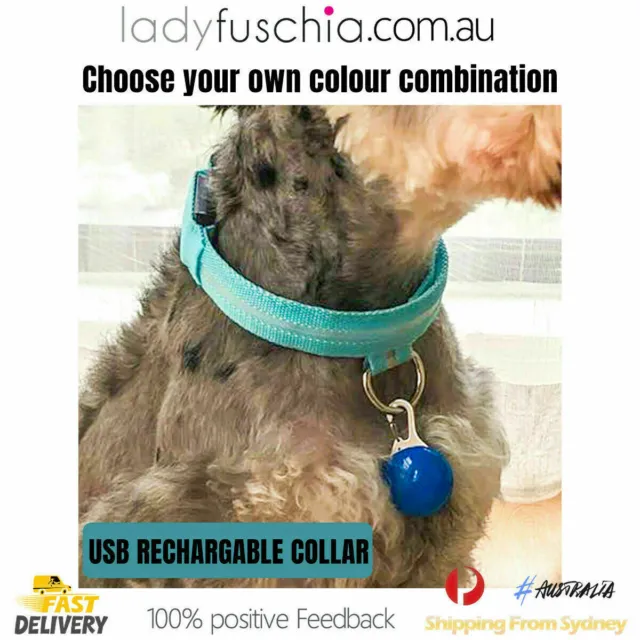 USB Rechargeable LED Dog Collar Nylon Glow Flashing Light Up Safety Pet Collars 2
