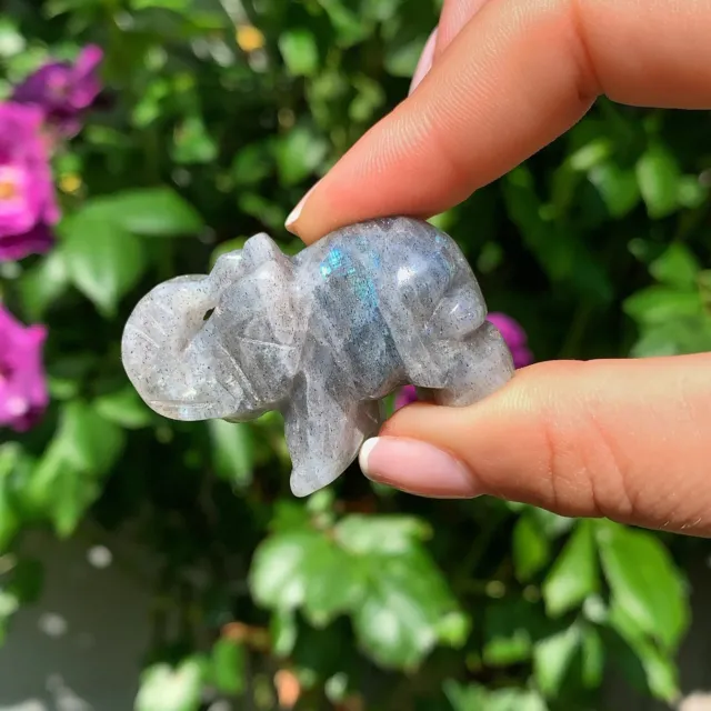 Labradorite Elephant Crystal Carving Natural Gemstone Healing Crystals Shop