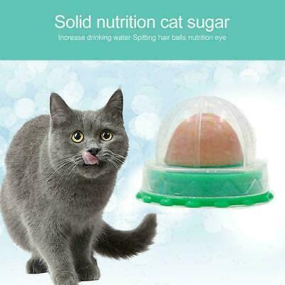 Bola de energía de caramelo de hierba gatera bocadillos lamiendo gatito saludable venta