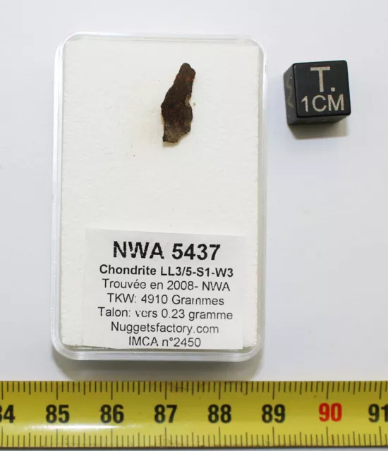 Talon de Météorite NWA 5437 dans une boite - Chondrite L/LL 3.5 (0.23 g - 015 *)