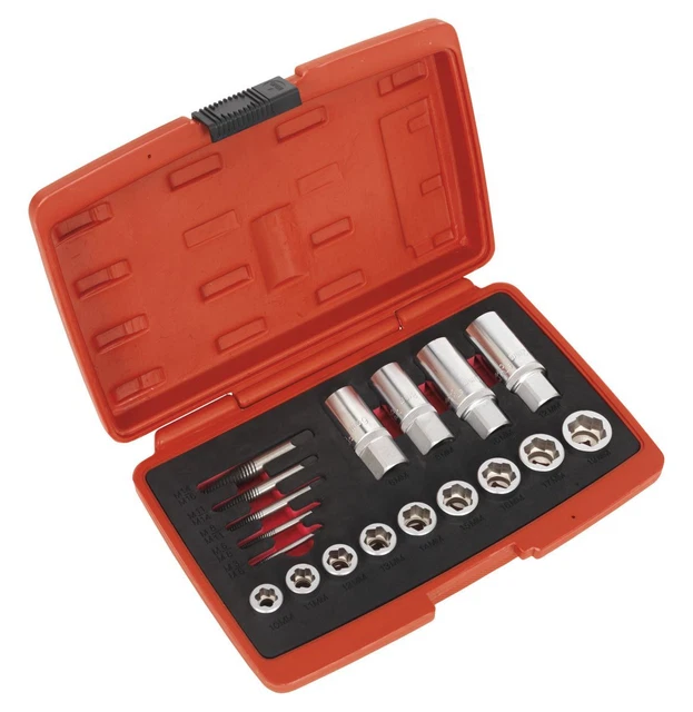 Sealey AK751 Verrou, Clou & Vis Extracteur Set 18pc