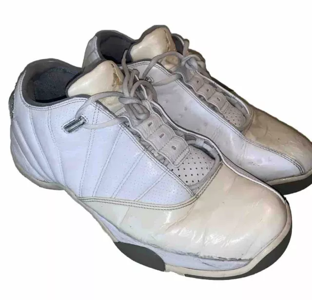 Nike Air Jordan Retro Xii.v 318411-101 Shoes Size 12 Mens Basketball White Grey