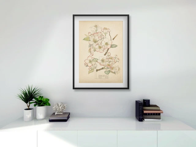 Rennie Mackintosh Crab Apple black / white FRAMED PRINT A4 digital 11 x 14 frame