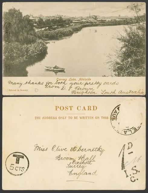 Australia, Postage Dues T 5cts & 1d I.S.C. Old UB Postcard Adelaide Torrens Lake
