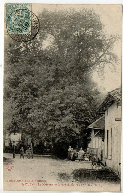 SAINT OUEN DOMPROT - Marne - CPA 51 - le Marronnier arbre séculaire