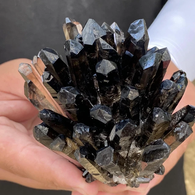 483G New Find black Phantom Quartz Crystal Cluster Mineral Specimen Healing