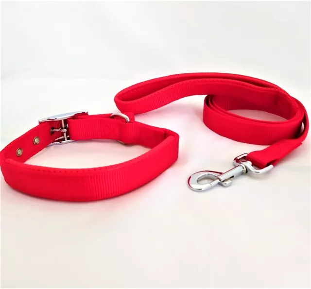 Collare e guinzaglio cane in nylon imbottito rosso per cani taglia media