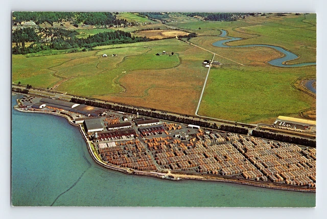 Postcard California Arcata CA Redwood Lumber Yard Aerial Bird Eye View 1970s