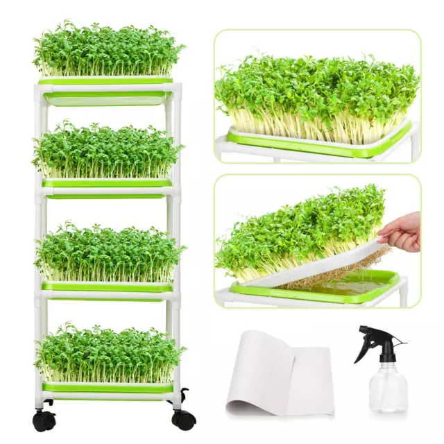 WADEO 4 Pezzi di Set di Vassoi per Germinazione Soil-Free Seed Sprouter Tray ...