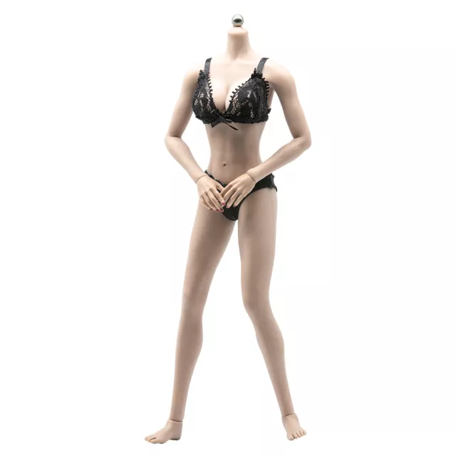 1/6 BIG BREAST Seamless Girl Female Figure body Pale Skin FX05-B fit phicen  $34.99 - PicClick