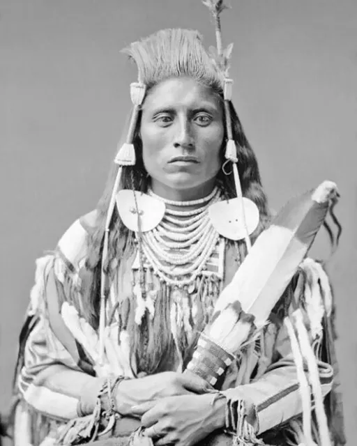 Native American CHIEF MEDICINE CROW Glossy 8x10 Photo Crow Nation Print Poster