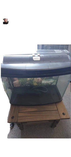 aquarium fish tank used
