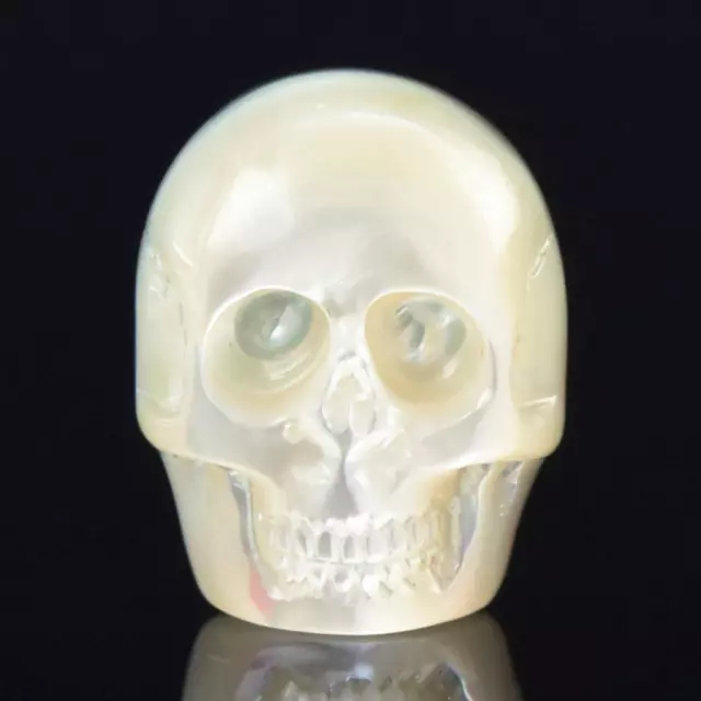 Skull Design Cabochon Mother-of-Pearl Shell & Paua Abalone Carving 3.83 g