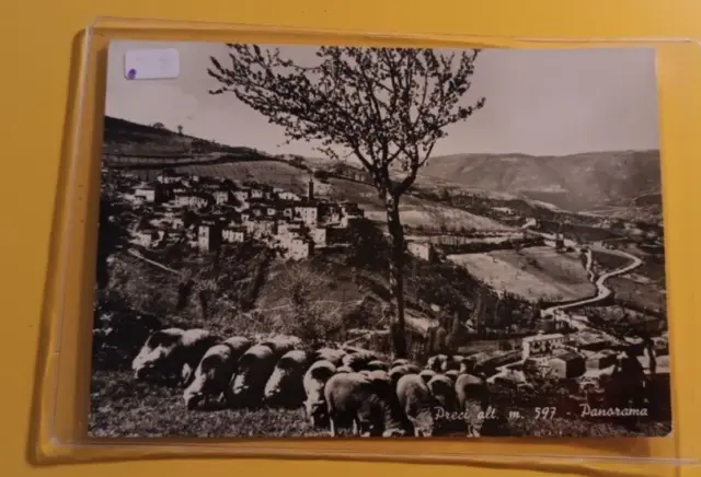 Cartolina Antica  Preci Panorama  Viagg Francob