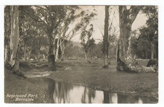 Hazelwood Park Burnside South Australia OLD POSTCARD circa 1908