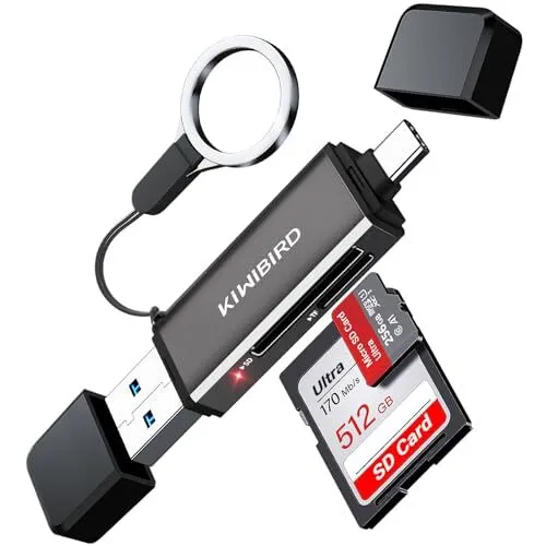 Verbatim Carte mémoire microSDHC Premium 16 Go noire - Carte SD pour  capture vidéo en full HD 