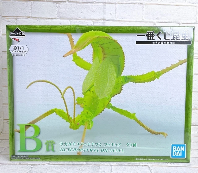 Ichiban Kuji Insect Museum of the World  B Prize Malayan jungle nymph figure