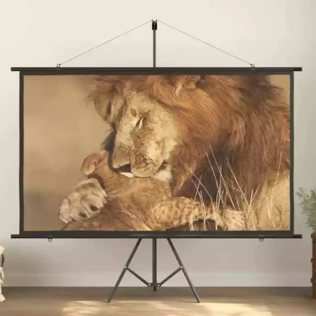 Projection Screen 90" 16:9 vidaXL