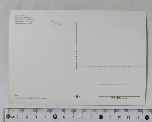 70914 Cartolina - Palermo - Fontana Pretoria 2