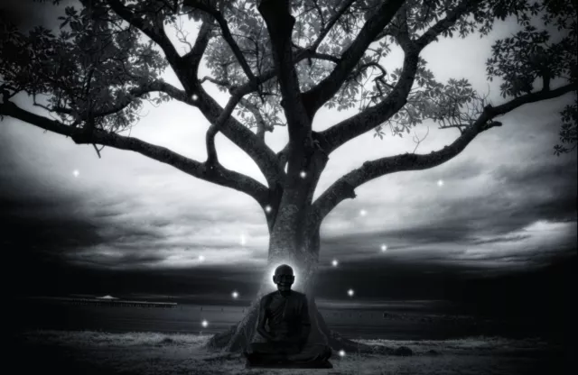 Stampa con Cornice - Buddhista Zen Master Seduto Sotto un Albero (Foto Budda