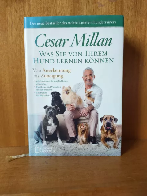 Was Sie von Ihren Hunden lernen können von Cesar Millan  Hundetrainer