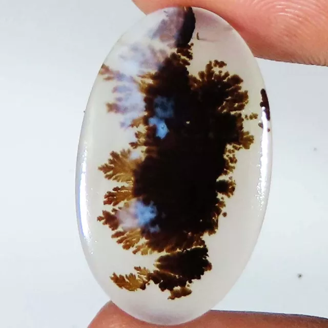 (16X26X3 MM) 13.00 Cts. NATURAL SCENIC DENDRITIC AGATE OVAL SHAPE LOOSE GEMSTONE