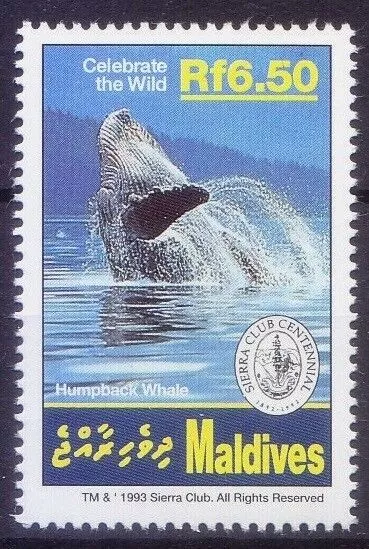 Maldives 1993 MNH, Humpback Whale, Marine Life   [Zw]