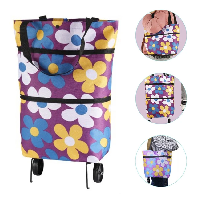 Carrello Pieghevole EVER ADVANCED Spingi E Tira Con Freno | 100kg Di Portata | Cestino E Portabottiglie | Per Spiaggia, Spesa E Campeggio - 3