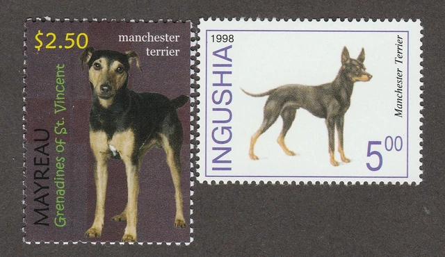 MANCHESTER TERRIER ** Int'l Dog Postage Stamp Art Collection *Great Gift Idea*