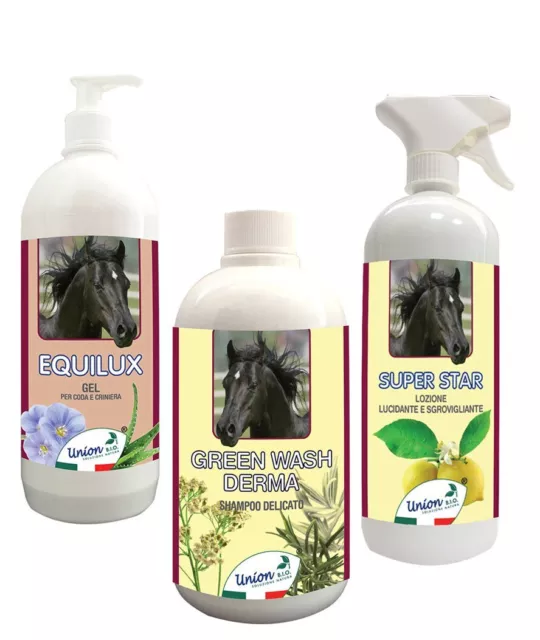 1 Shampoo, 1 Polierer und Enttangler, 1 Restrukturierungsmittel für Schweif und