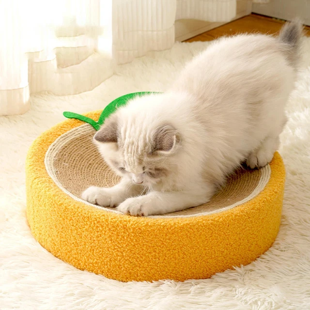 Kitty Kurlz Jouets Pour Chat D'intérieur Et Chats Adultes – Planche à Gratter Magique En Accordéon – Anneau à Gratter Bouclé, Piste De Jeu Enrichie Avec Boule, Kurls Flexibles Pour S'amuser En
