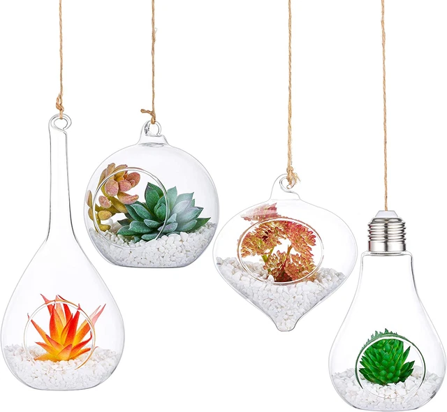 Hanging Glass Planter Plant Terrarium, Set of 4  Propagation Stations for Plants