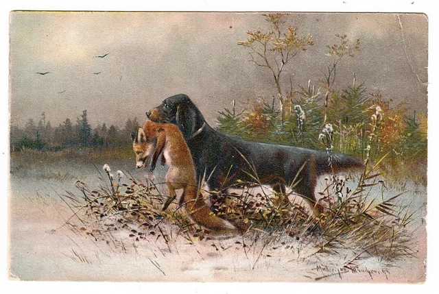 Ancienne Carte Postale Début 1900, Motif Chasse, "La Proie De Chasse Tuch Oilette Jagdwild"
