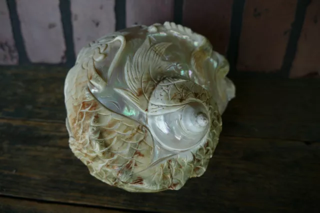 antique seashell sailor folk art hand carved dragon bird fiery Iridescent conch