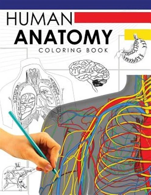 LIVRE DE COLORIAGE en anatomie humaine : un guide d'étude complet ...