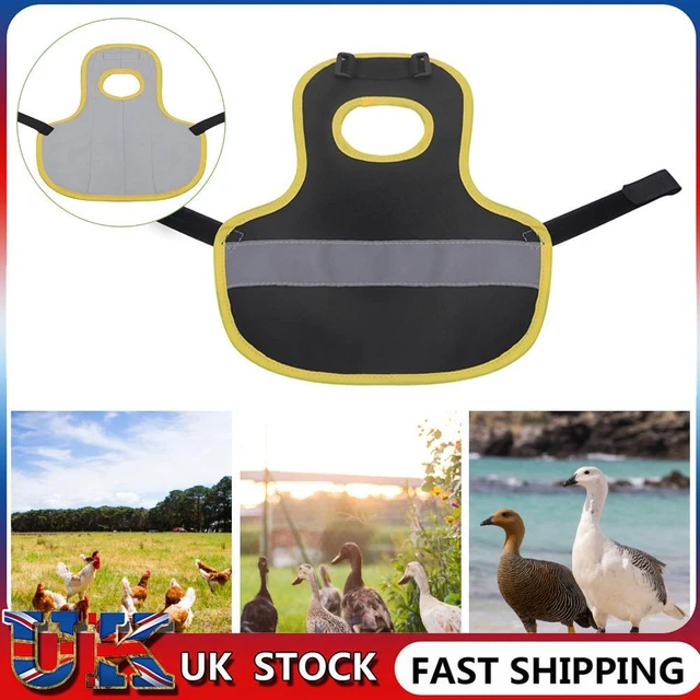 Autumn Winter Chickens Duck Thermal Vest Warm Jackets Chicken Duck Goose Apron ❀