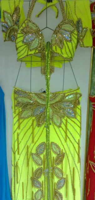 New Egyptian Professional Belly Dance Costume Custom-made bellydance Dress 2