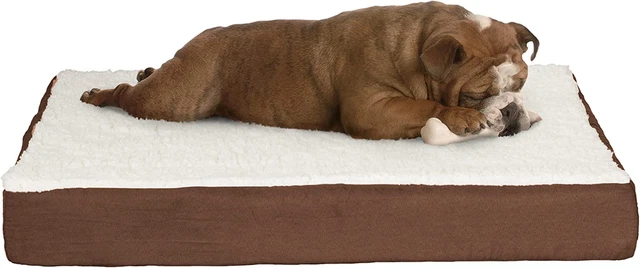Orthopedic Dog Bed – 2-Layer Memory Foam Dog Bed with Machine Washable Sherpa Co